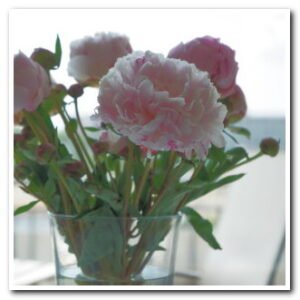 300 smallfooter small DSC06661