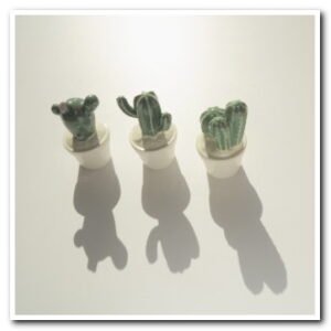 300 smallfooter small DSC06924